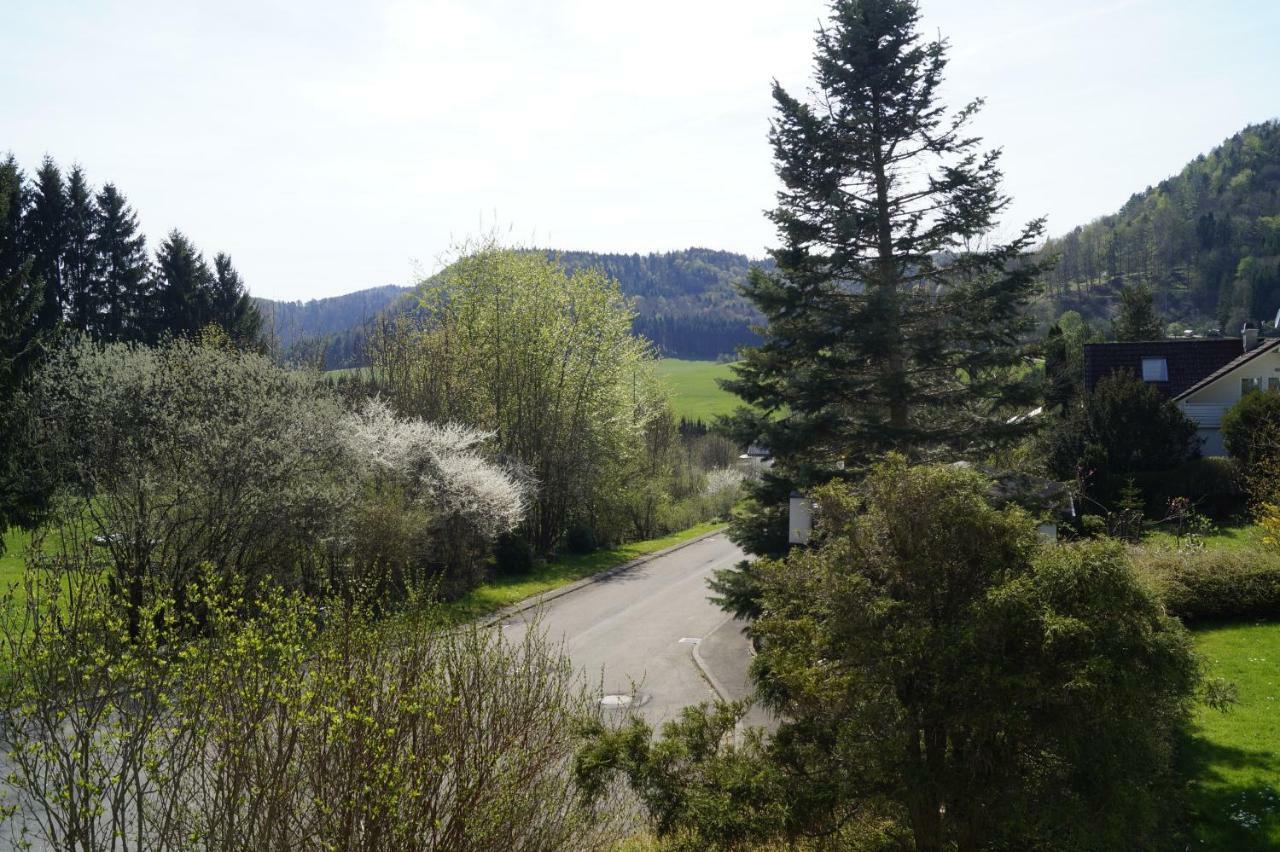 Am Irrenbaechle Albstadt