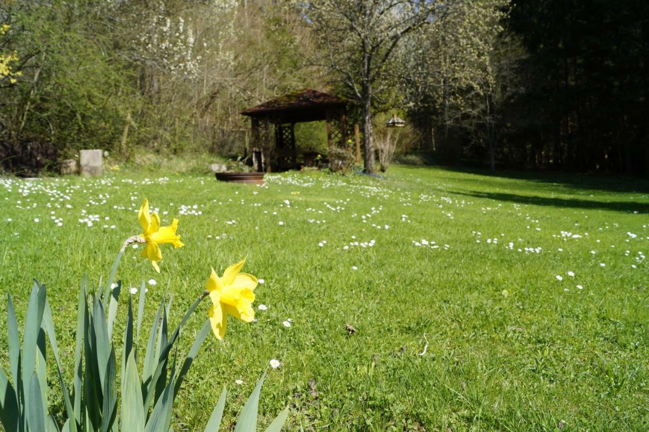 Homestay Am Irrenbaechle *